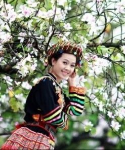 TOUR ĐIỆN BIÊN TẾT ÂM LỊCH