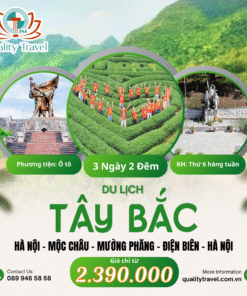 Du lịch Tây Bắc 2025| Hà Nội – Mộc Châu – Mường Phăng – Điện Biên – Hà Nội